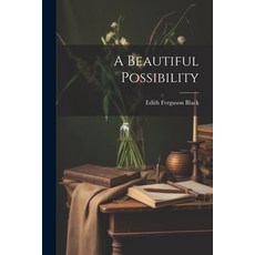 (영문도서) A Beautiful Possibility Paperback, Legare Street Press, English, 9781021411419
