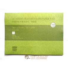 寶虹 ACADEMY 學院級 全棉水彩紙本 300gsm 380x530mm 細紋/HP 20張, 詳見包裝