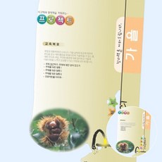 주제활동가을주제영아활동지 그림표현미술놀이영아워크지 홈스쿨링 5개 10월가을