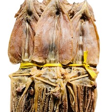 [수성호] 동해안 마른오징어 건조오징어 800g (20미) 1축, 800g(20미), 1개