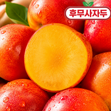 [하루30박스] 17Brix 특품 후무사 자두, 1박스, 1kg