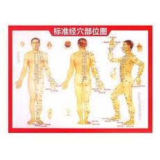 Hankey 艾草精油 - 保濕滋潤 按摩身體, 1個, 穴位圖, 穴位圖, N/A