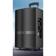 타워형 대형 스피커 소니 에릭슨 야외 공연 블루투스, 1개, 프로페셔널 17인치+USB
