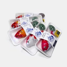 CATWANT 貓咪旺農場 木天蓼填充貓玩具，可愛造型，安全耐用，激發狩獵本能, 1個, CWF-109-30木天蓼｜大錦鯉,花色隨機出貨，恕無法指定, 花色隨機出貨