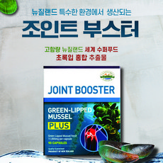 Untouched Native 뉴질랜드 정품 언터치드 네이티브 조인트 부스터 11 000mg 90캡슐 X4개 묶음 (초록입홍합), 4개, 90정