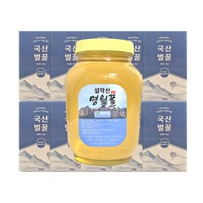 VNH 사양 아카시아벌꿀 2.4kg 10개 설악산 명월꿀 국산꿀 양봉꿀 피로회복 면연력 향상 선물 어버이날 명절