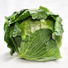 [울팜] 국내산 신선 통 양배추 대용량 식당용, 1박스, 8kg