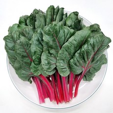 [사계절청년농부] 신선한 국내산 적근대 샐러드 야채 쌈채소, 1개, 1kg