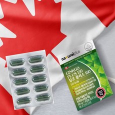 부모님어르신 기억력혈행개선영양제 캐나다프리미엄 징코+아연+비타민 2개월분 면역력증진