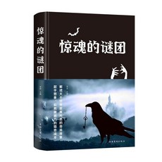 驚魂的謎團 懸疑經典驚悚恐怖推科幻玄偵探小説驚人的秘密 詭異恐【椰子圖書 】