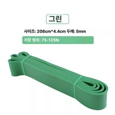 주차 차단벨트 탄력 바리게이트 가이드라인 차단줄 줄서기, 1개, 그린 전문가 50-125