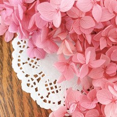 VITO zakka 木繡球永生花DIY乾燥花植物浮游花材花藝材料包拍攝道具DIY創作花材20g, 玫粉色漸變(現貨)