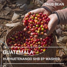 생두대빵 과테말라 우에우에테낭고 SHB EP 워시드 생두, 1개, 500g