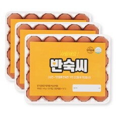 [YJ푸드]노른자까지 간이 배인 반숙씨 영양간식 반숙란 영양만점 삶은계란, 20구, 3개