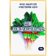 산들 사계절 시금치씨앗 10g 연중재배 가능한 사계절 시금치씨 종자, 1개