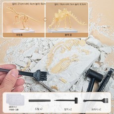 공룡 화석 발굴키트 고고학 체험 DIY 선물용 장난감 세트 2개: 티라노 화석 스테고사우루스, 2개