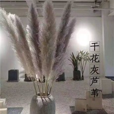 팜파스 마른꽃 대형 부케 인테리어 베이지 거실장식 화병세트, 원색 1미터 5개