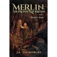 (영문도서) Merlin's Sister Paperback, Gavia Press, English, 9780998144740