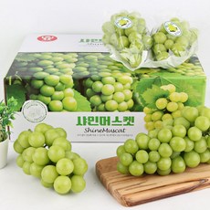 당도보장 18brix내외 신현두 영천 노지 샤인머스캣, 1박스, 2KG (2-3수)