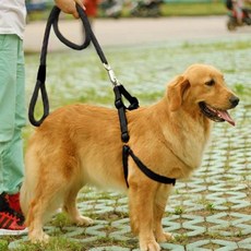 로프 대형견 목줄+하네스+리드줄 세트(XS)(블랙) 반려견산책줄, 개, 단일상품1