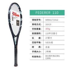 威爾勝Wilson初學網球拍套裝，含網球、拍袋、訓練用，成人男女適用，體育課訓練首選, WR06171-309g, 1個