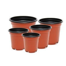 <국내생산> 이색포트 모종화분 7cm 8cm 9cm 10cm 11cm 12cm 13cm 교육용 모종용 학습용 재배용