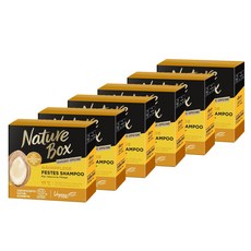 Nature Box 에이처 박스 아르간 오일 페스트 샴푸 6 x 85g, 6개
