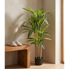 모던마켓 홈 인테리어 인조식물 드라세나 조화분 홈 데코 인조 조화 관리 쉬움 드라세나 나무 사무실 회의실 카페 매장 스튜디오 카페 침실 장식 선물용 조화분 150CM, 1개, 그린
