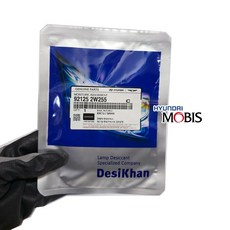 헤드라이트 습기제거제 92125 2W255 모이스처 업소번트 차량용제습제 흡습제 장마철 25g, 1개