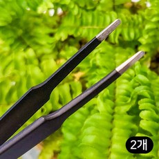세경팜 식물 다육이 다용도핀셋 A자형, 2개