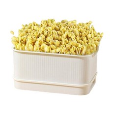 콩나물 키우기 콩나물시루 재배 키트 유치원 어린이 관찰일지, 화이트, 1개