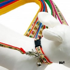 칼라 목줄세트 랜덤발송 반려동물리드줄