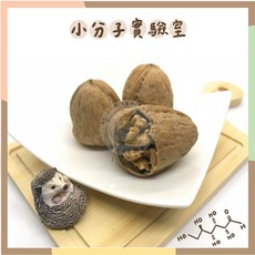 小分子實驗室 帶殼核桃 已熟化 無調味 倉鼠磨牙點心, 1個