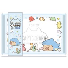 卡皮巴拉 PP彩盒名片卡 現貨正版彩色名片卡 水豚傳情小卡 手繪設計名片便條紙, 1個, 鯊魚, 彩色