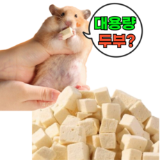 대용량 두부 간식 햄스터 고단백질 이갈이 소동물 고슴도치 토끼 슈가글라이더 래트 기니피그, 1개, 10g