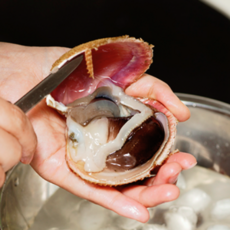 [당일조업손질] 최상급으로 당일발송 새조개 여수 자연산, 1개, 200g