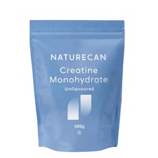 Naturecan 네이처 칸 크레아틴 모노하이드레이트 500g 비 맛 식당 5g 100식분 크레아틴, 1개, 1g
