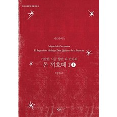 돈끼호떼 1-1(큰글자도서):기발한 시골 양반 라 만차의, 창비, 세르반떼스