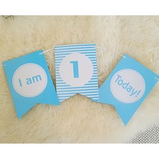 생일파티 각종모임 기념일 액세서리 가랜드 모음1 (2개입), 2개, 옵션7-3
