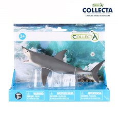 컬렉타 반오픈 입을 벌린 백상아리, 1개