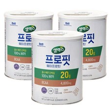 셀렉스 프로핏 웨이프로틴 파우더 초콜릿, 627g, 3개
