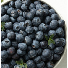 국내산 톡 터지는 알갱이 특 블루베리 대사이즈 18~20mm, 5개, 100g