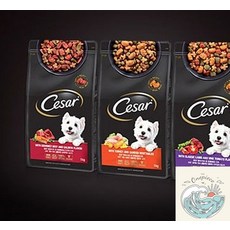 밀짚모자 상단 시저 쇠고기 연어 1kg 소형견 기호성좋은 노견사료