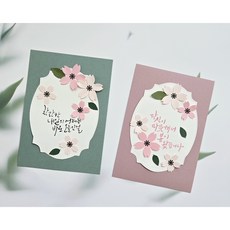 벚꽃5x7엽서 세트. 다이컷플라워 캘리준비몰, 2.엽서세트, 2.미디움카키