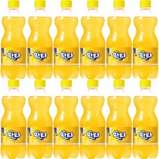환타 파인애플 (업소용) 500ml x 24개