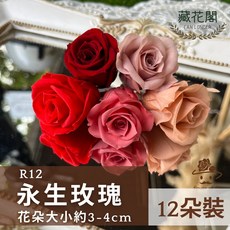 藏花閣 CAN LONGER R12 永生玫瑰 3-4cm A級不凋花 12朵裝, 27暗紅-, 27暗紅-