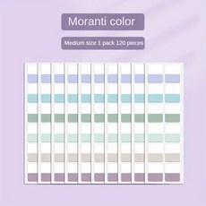 모란디 색상 색인 스티커 밝은 메모 투명 쓰기 가능, 120pcs