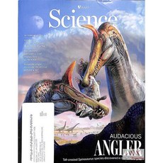 Science Magazine Usa 2026년2월19일호