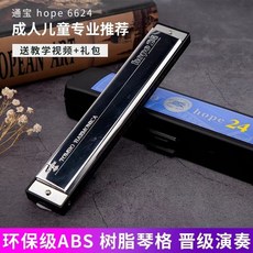 TOMBO日本通寶6624複音口琴24孔入門演奏初學愛好口琴, 1個, B調