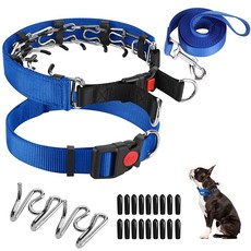 편안한 팁과 트레이닝 대형견까지 빠른 포함된 클래식 위한 칼라 목줄 핀치 초크 있는 나일론 커버가 도그 프롱 소형견부터 릴리스가, Small/ 2.5mm/10-14'' Neck, Blue, 블루, 1개